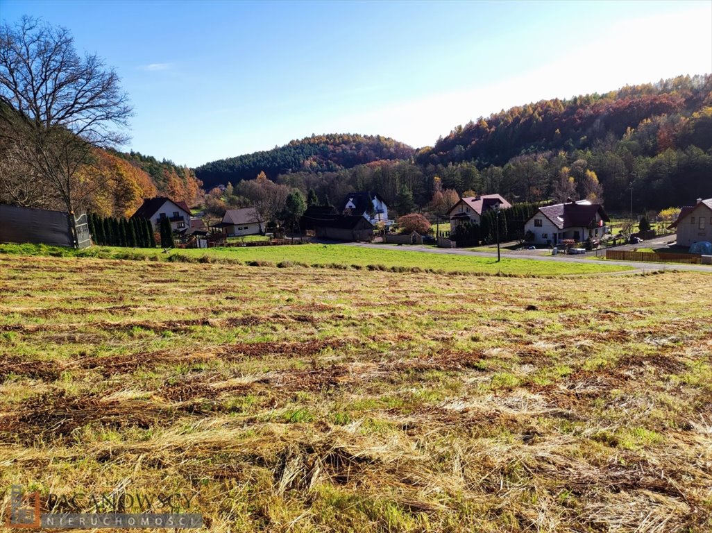 Działka budowlana na sprzedaż Mników  3 505m2 Foto 1