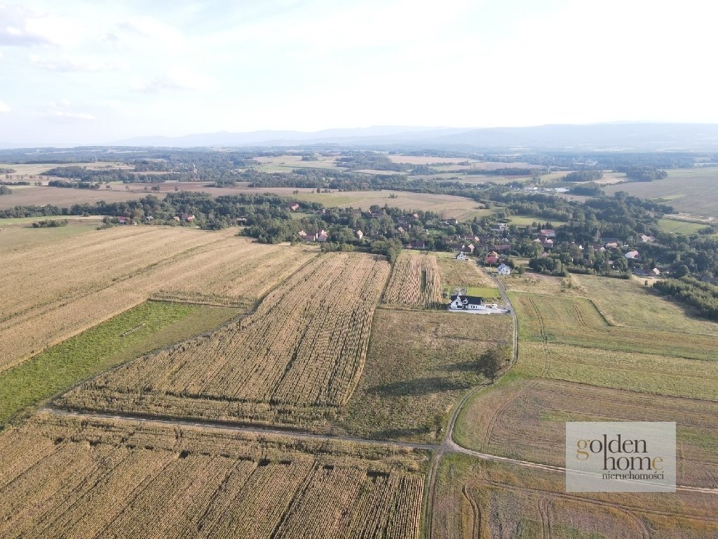 Działka budowlana na sprzedaż Gryfów Śląski, Krzewie Wielkie  1 336m2 Foto 5