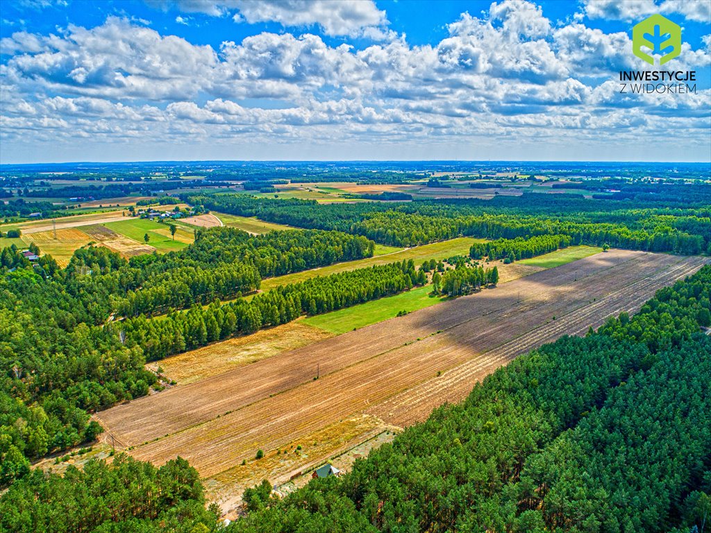 Działka budowlana na sprzedaż Rynia, Duża działka budowlana z fragmentem prywatnego lasu  2 748m2 Foto 2