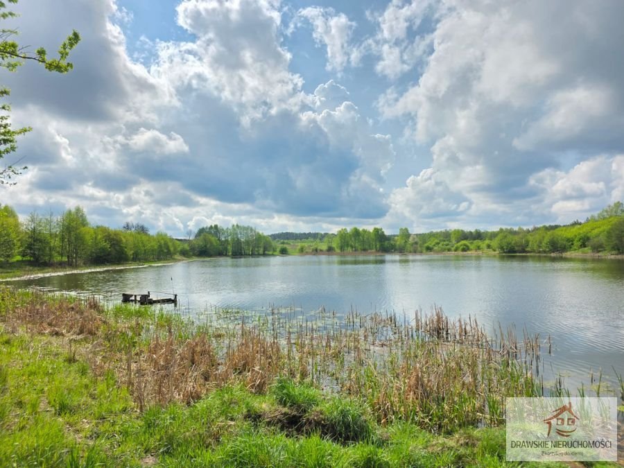 Działka nad jeziorem w Żabinie 11 306 m2, media w pobliżu Żabin, Żabin  11 306m2 Foto 1
