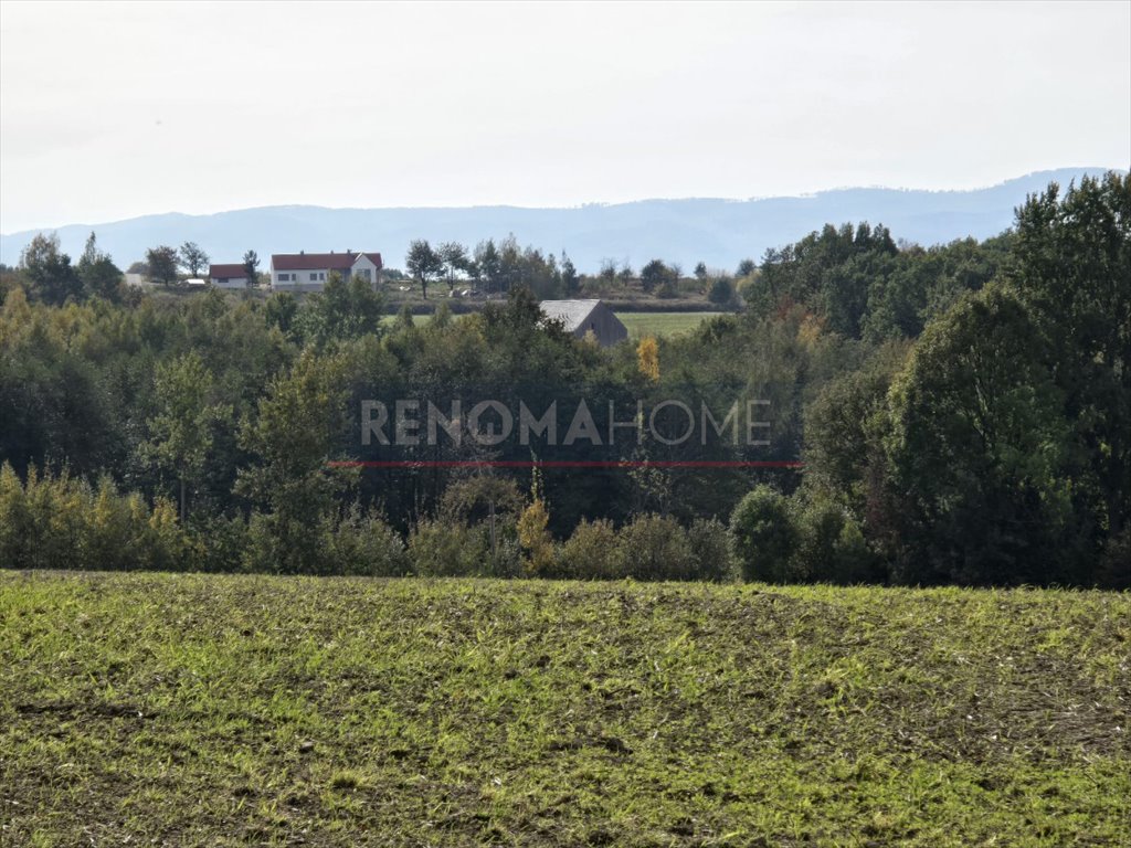 Działka gospodarstwo rolne na sprzedaż Sobótka, Tąpadła  90 500m2 Foto 6