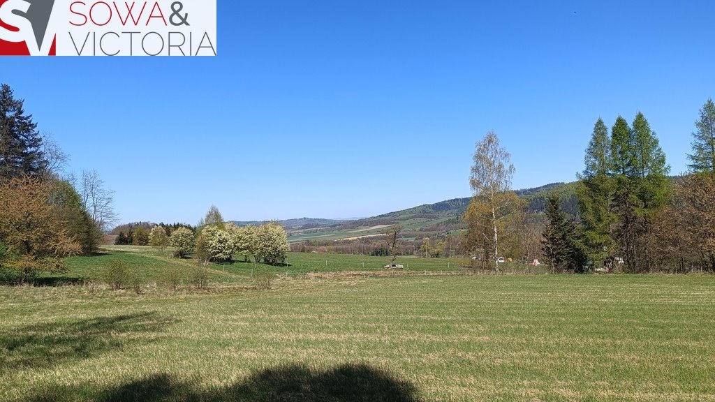 Działka 3 800 m² z widokiem na Czarną Górę i Śnieżnik Radochów  3 800m2 Foto 1