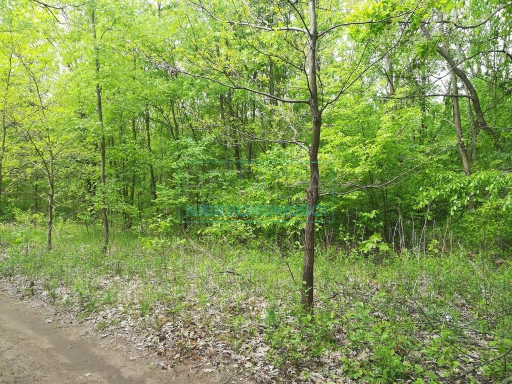 Działka 1958 m² pod inwestycję lub dom w Milanówku Milanówek  1 958m2 Foto 1