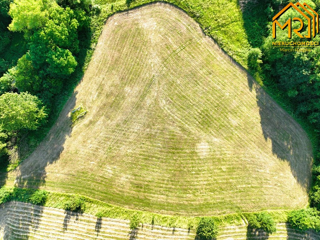 Działka inna na sprzedaż Wola Lubecka  47 900m2 Foto 8