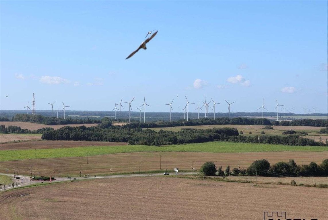 Działka budowlana na sprzedaż Gniewino  4 300m2 Foto 7