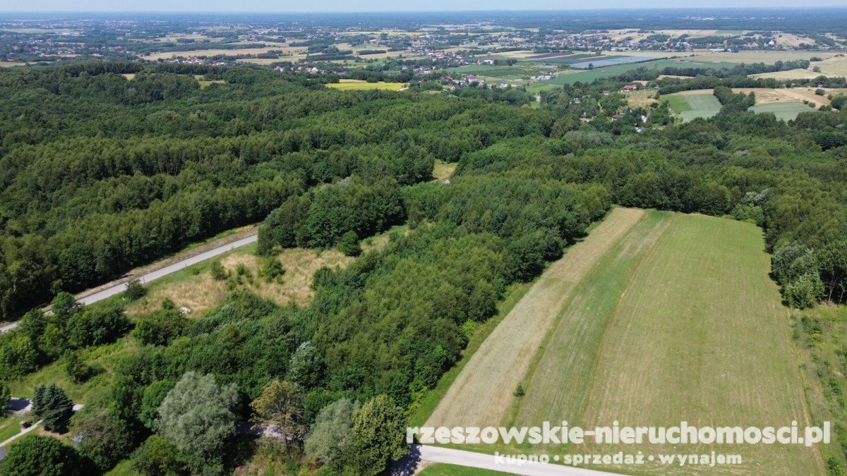 Działka 6856 m2 z panoramicznym widokiem i mediami Będziemyśl  6 856m2 Foto 1