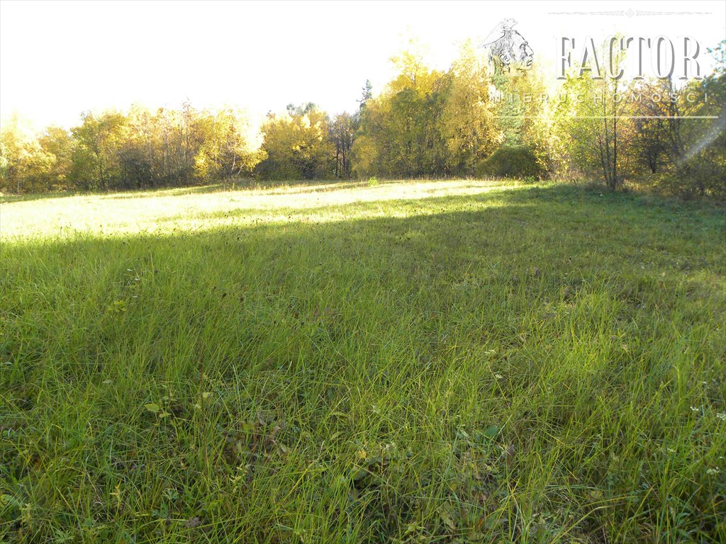 Działka rolna 1,58 ha z lasem, spokój i dojazd gminny Rozdziele  15 800m2 Foto 1