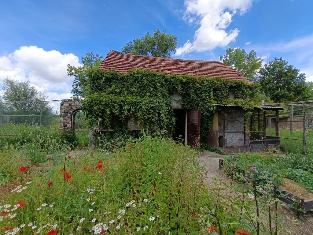 Działka budowlana na sprzedaż Kunów  126 800m2 Foto 18