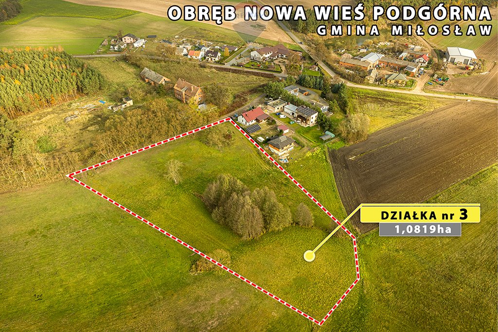 Działka budowlana na sprzedaż Nowa Wieś Podgórna  10 819m2 Foto 7