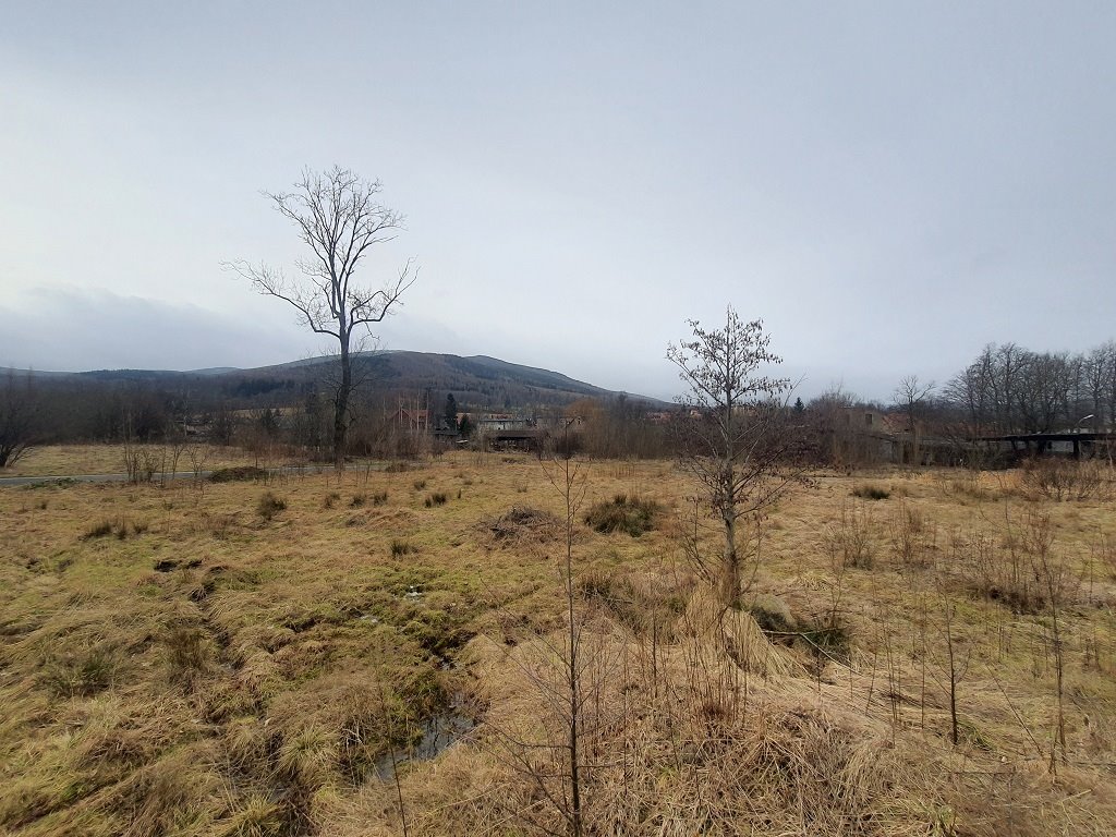 Działka komercyjna na sprzedaż Kowary, Kasztanowa  5 559m2 Foto 3