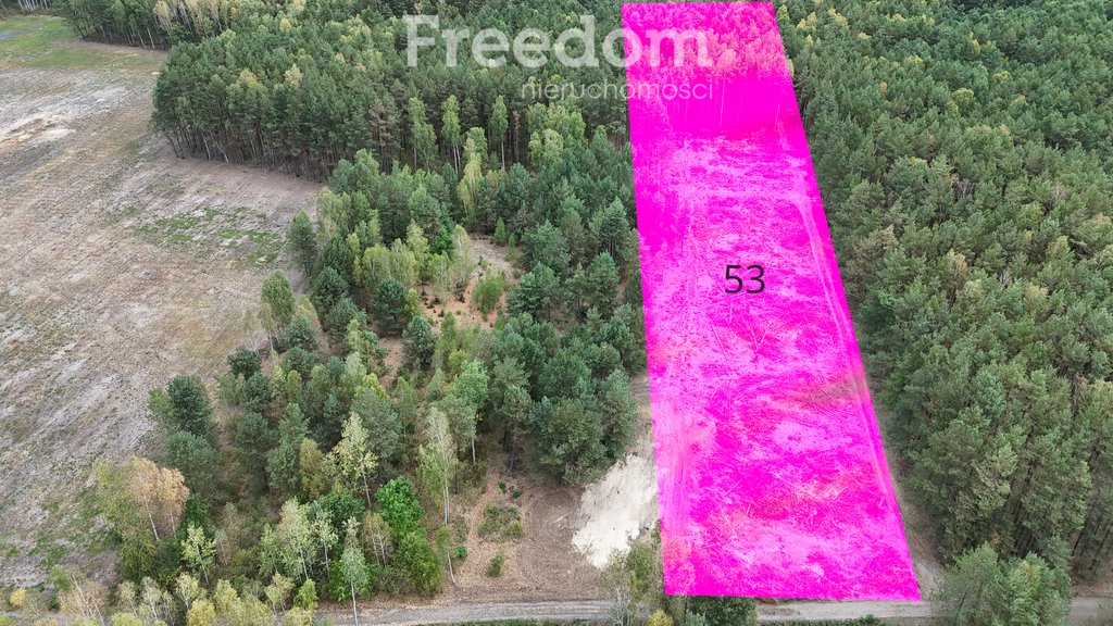 Działka budowlana na sprzedaż Celinów, Aleja Pod Lasem  10 300m2 Foto 1