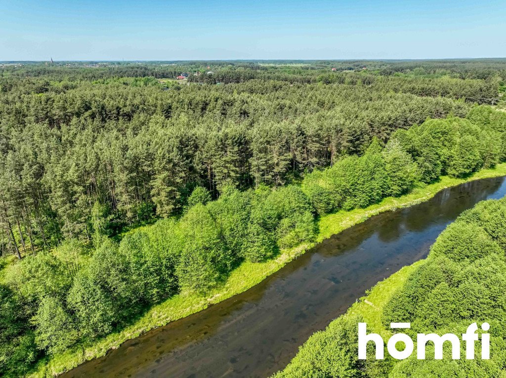 Działka leśna na sprzedaż Czarna Woda  24 100m2 Foto 9