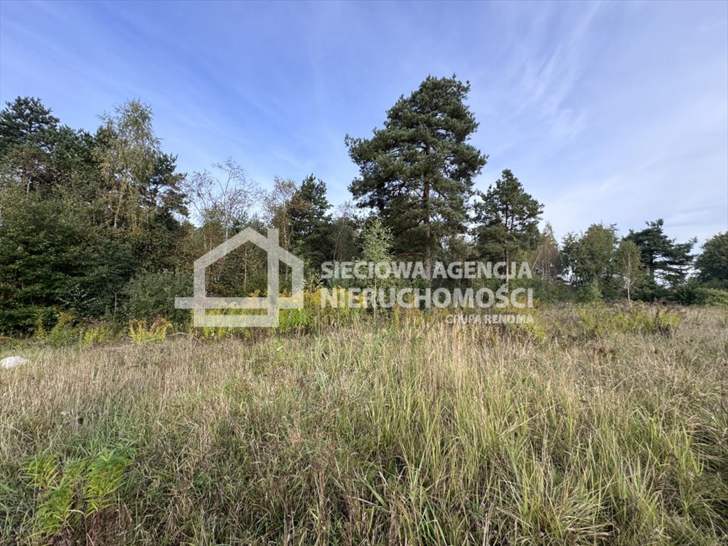 Polecam działkę 4000 m² na wynajem w Gdyni Wiczlino Gdynia, Wiczlino  4 000m2 Foto 1