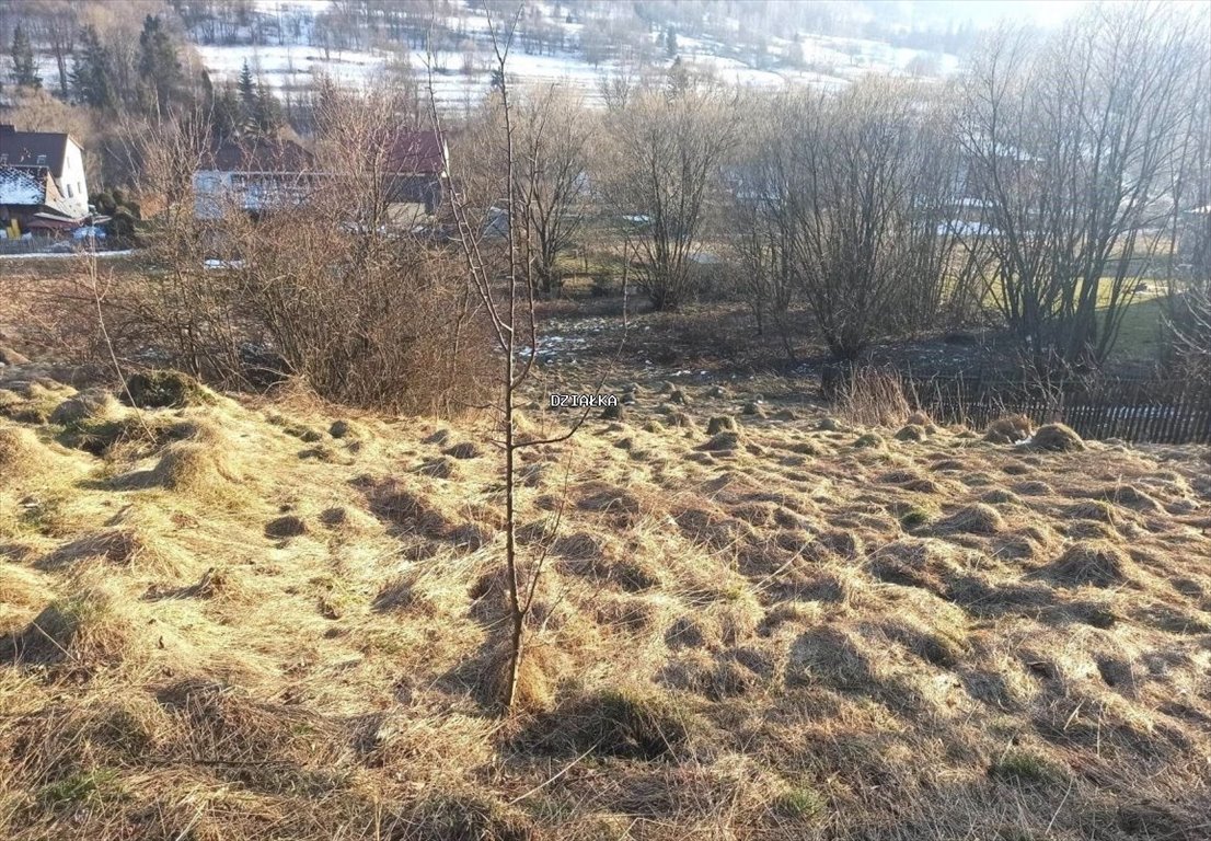 Działka budowlana na sprzedaż Kamesznica  979m2 Foto 7