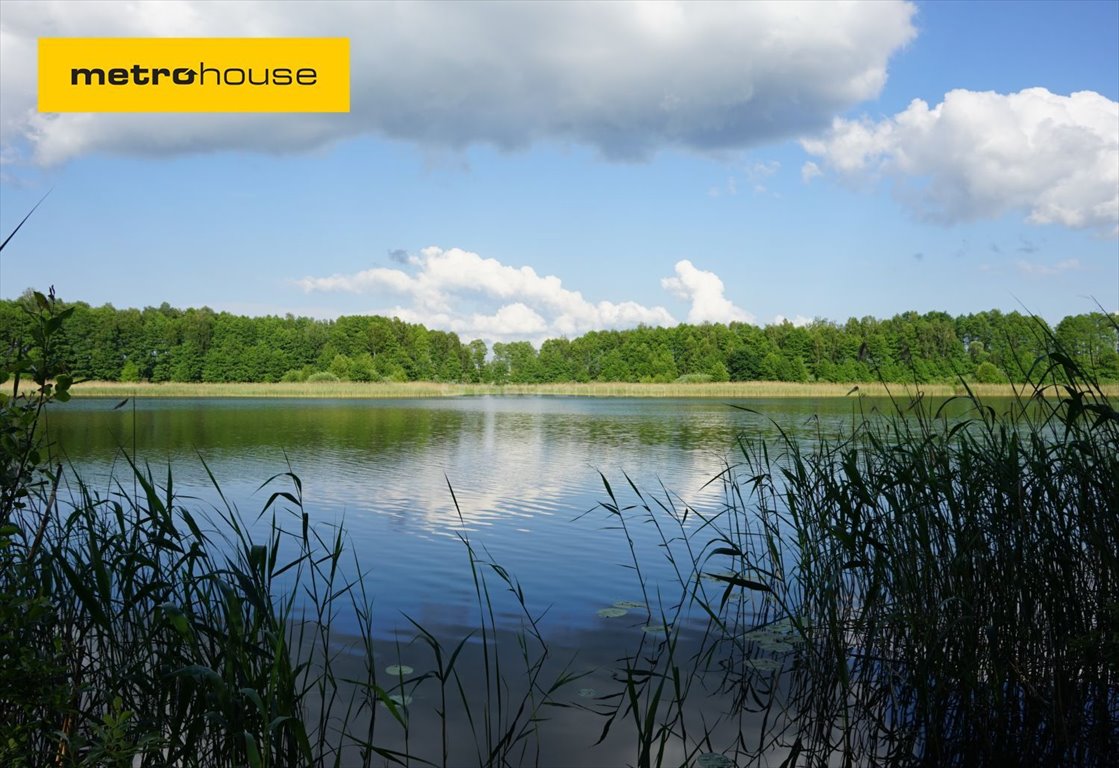 Działka rolna na sprzedaż Wielki Mędromierz  80 000m2 Foto 1