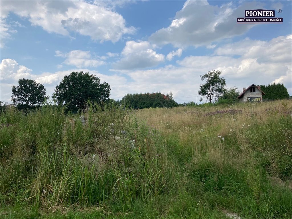 Działka budowlana na sprzedaż Hażlach  6 508m2 Foto 2