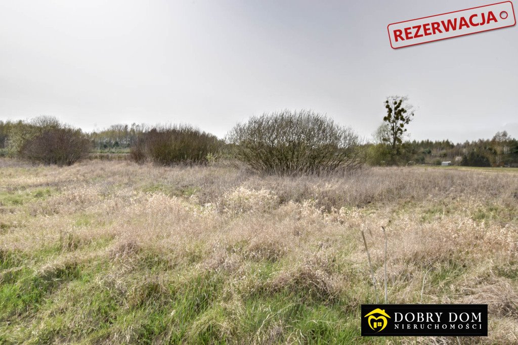 Działka rolna na sprzedaż Hołody  5 700m2 Foto 2