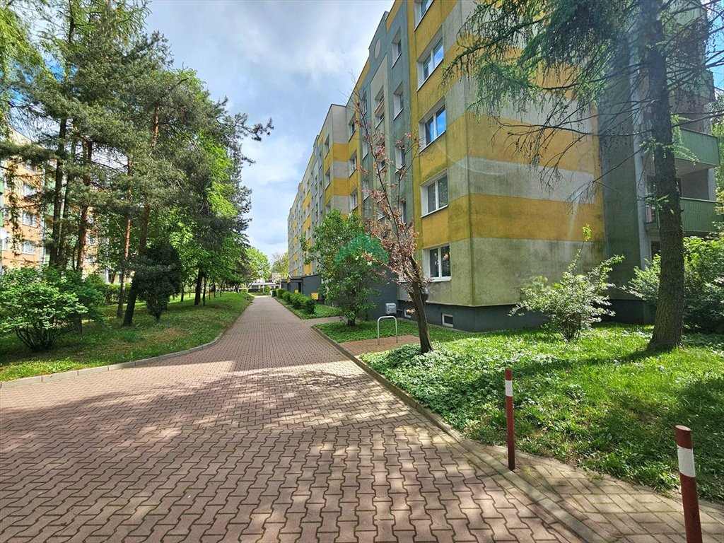 Mieszkanie trzypokojowe na sprzedaż Częstochowa, Tysiąclecie  68m2 Foto 10