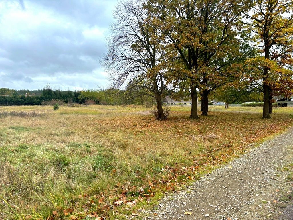 Działka budowlana na sprzedaż Brzózki  1 016m2 Foto 5