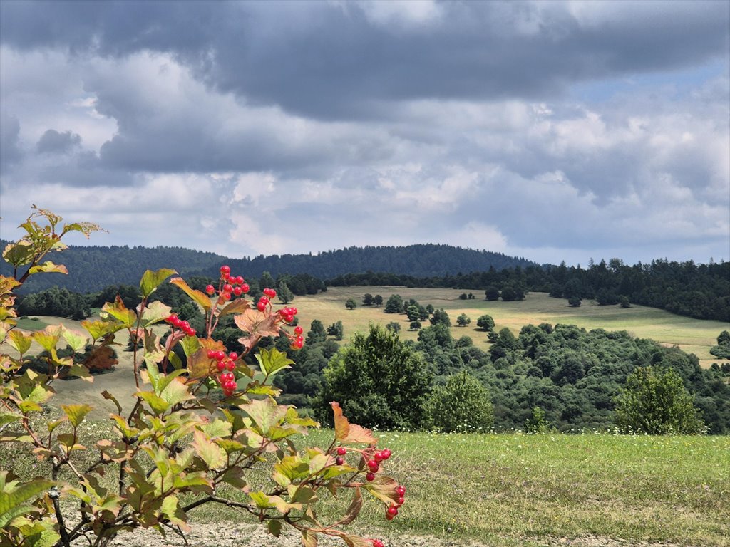 Działka rolna na sprzedaż Posada Jaśliska  9 300m2 Foto 2