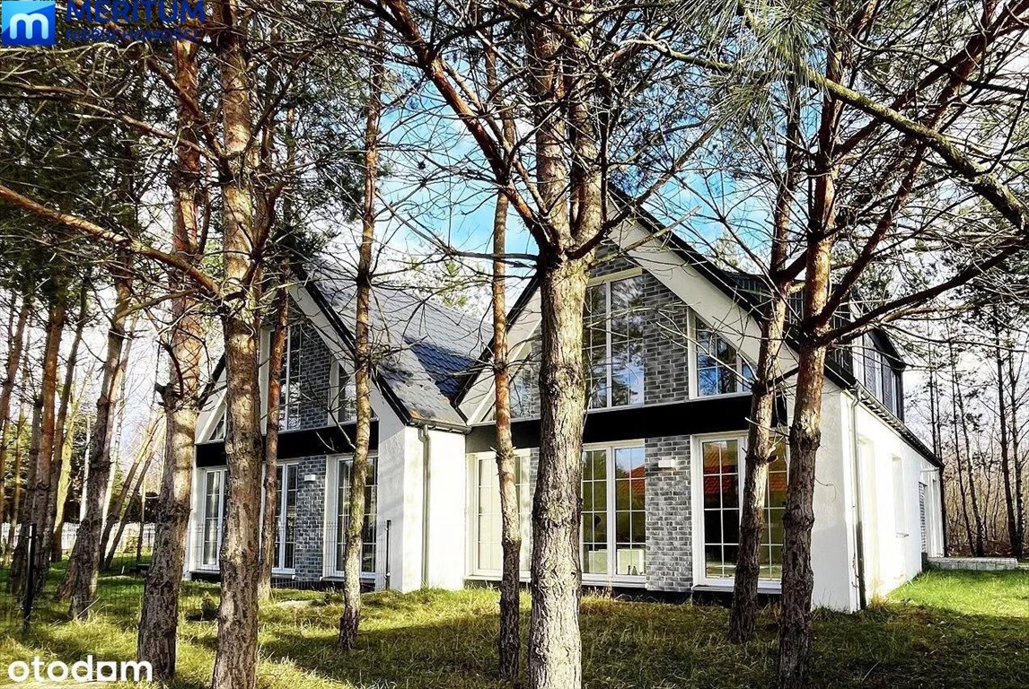 Polecam nowoczesny dom 181 m² z antresolą i dużymi przeszkleniami Adamów  181m2 Foto 1