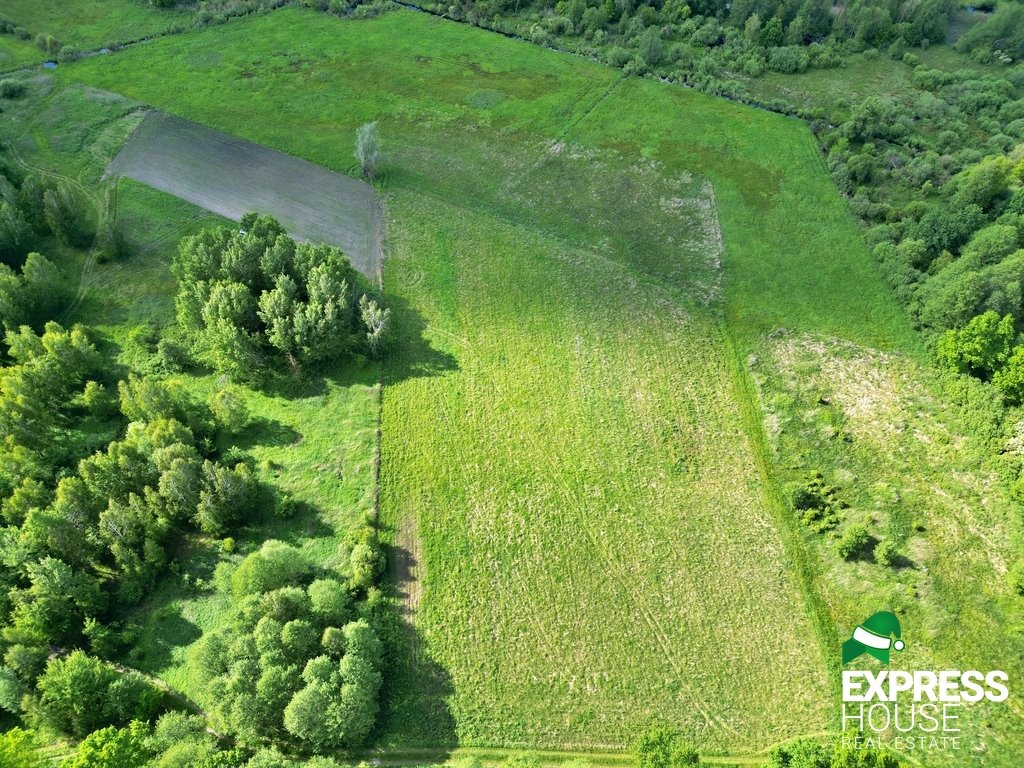 Działka leśna na sprzedaż Świerszczów  12 100m2 Foto 3