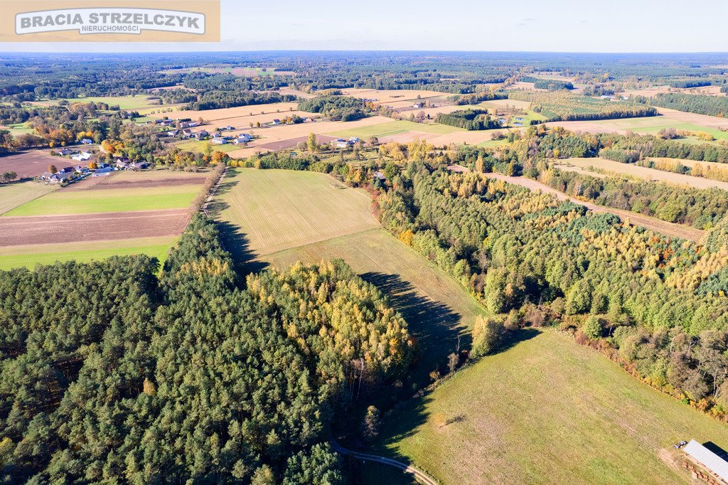 Działka budowlana na sprzedaż Gutarzewo  45 500m2 Foto 4