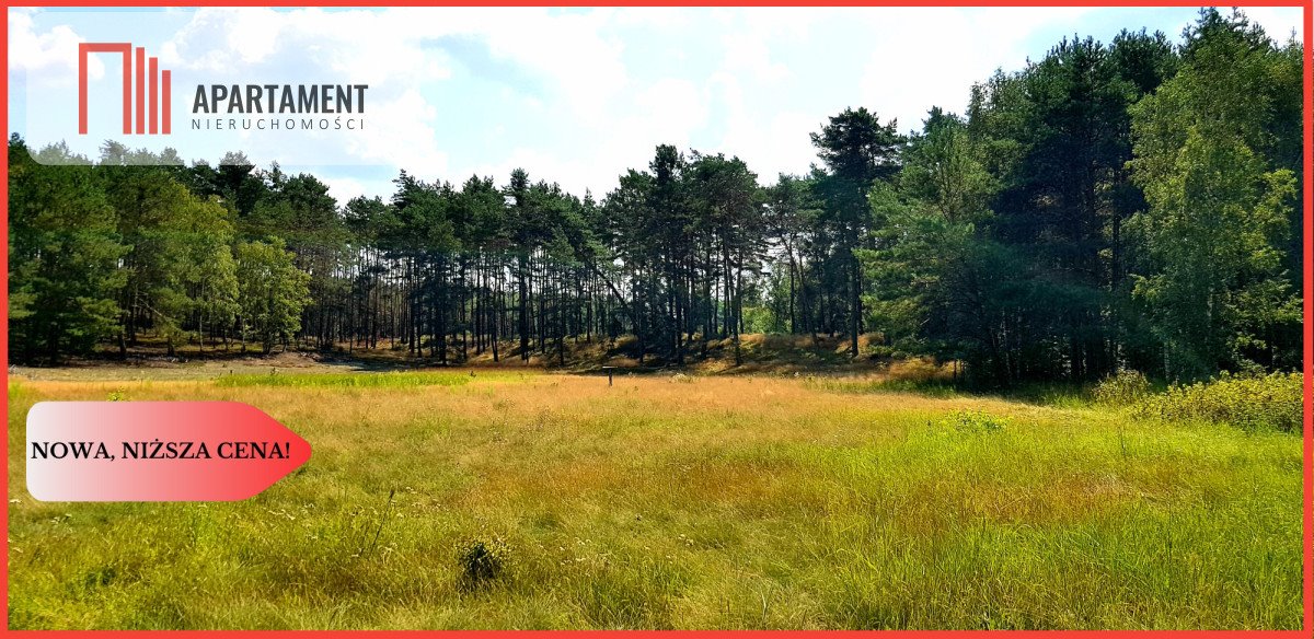 Działka przemysłowo-handlowa na sprzedaż Wypaleniska  1 500m2 Foto 1