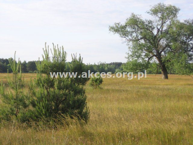 Działka budowlana na sprzedaż Kamieńczyk 900m2 Foto 1 Działka budowlana na sprzedaż Kamieńczyk 900m2 Foto 1