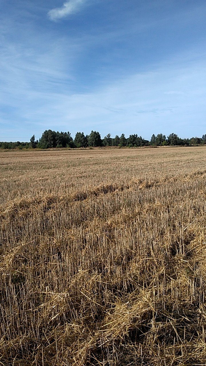 Działka budowlana na sprzedaż Międzyzdroje, Rekowo  1 000m2 Foto 4