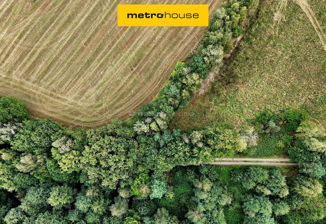 Działka budowlana na sprzedaż Mąkoszyce  832m2 Foto 1