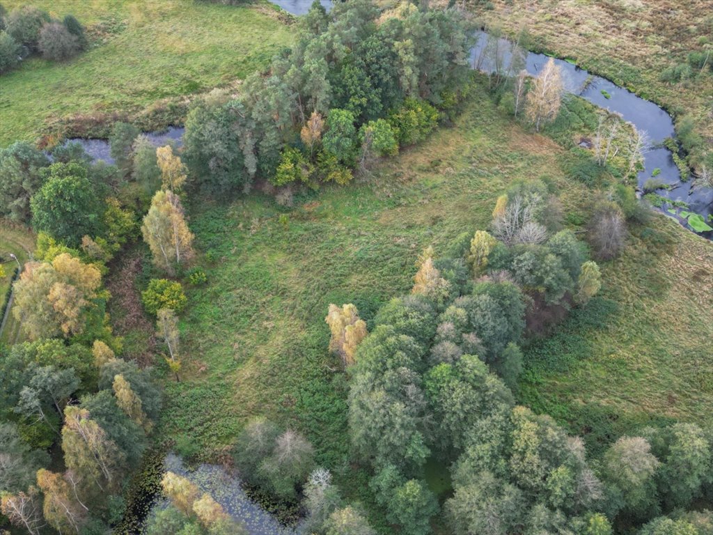 Działka rolna na sprzedaż Korzybie  6 800m2 Foto 3