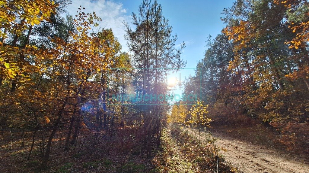 Działka budowlana na sprzedaż Radziejowice  4 297m2 Foto 10