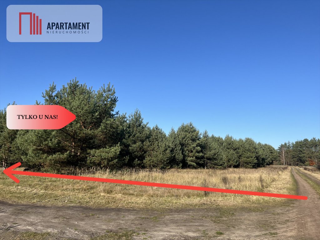 Działka 1 419 m² z sosnowym lasem, MN, Czeszów - polecam! Czeszów  1 419m2 Foto 1