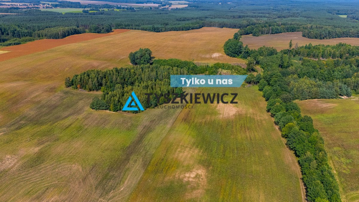 Działka rolna na sprzedaż Świerzenko  203 494m2 Foto 1