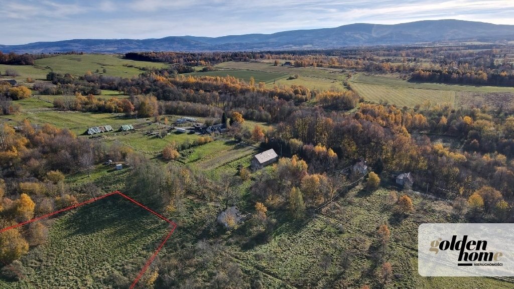 Urokliwa działka 2608 m² z widokiem na Pogórze Izerskie - polecam! Świecie  2 608m2 Foto 1