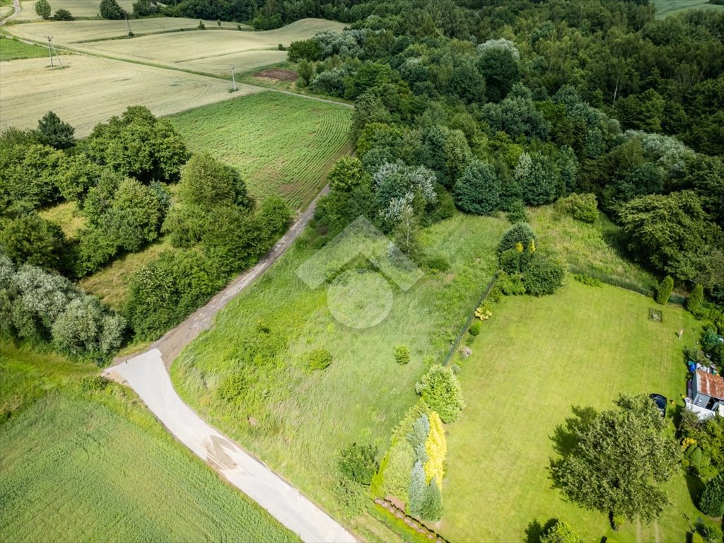 Działka rolna 52 ar w Radwanowicach, dojazd asfaltowy Radwanowice, Spacerowa  5 200m2 Foto 1