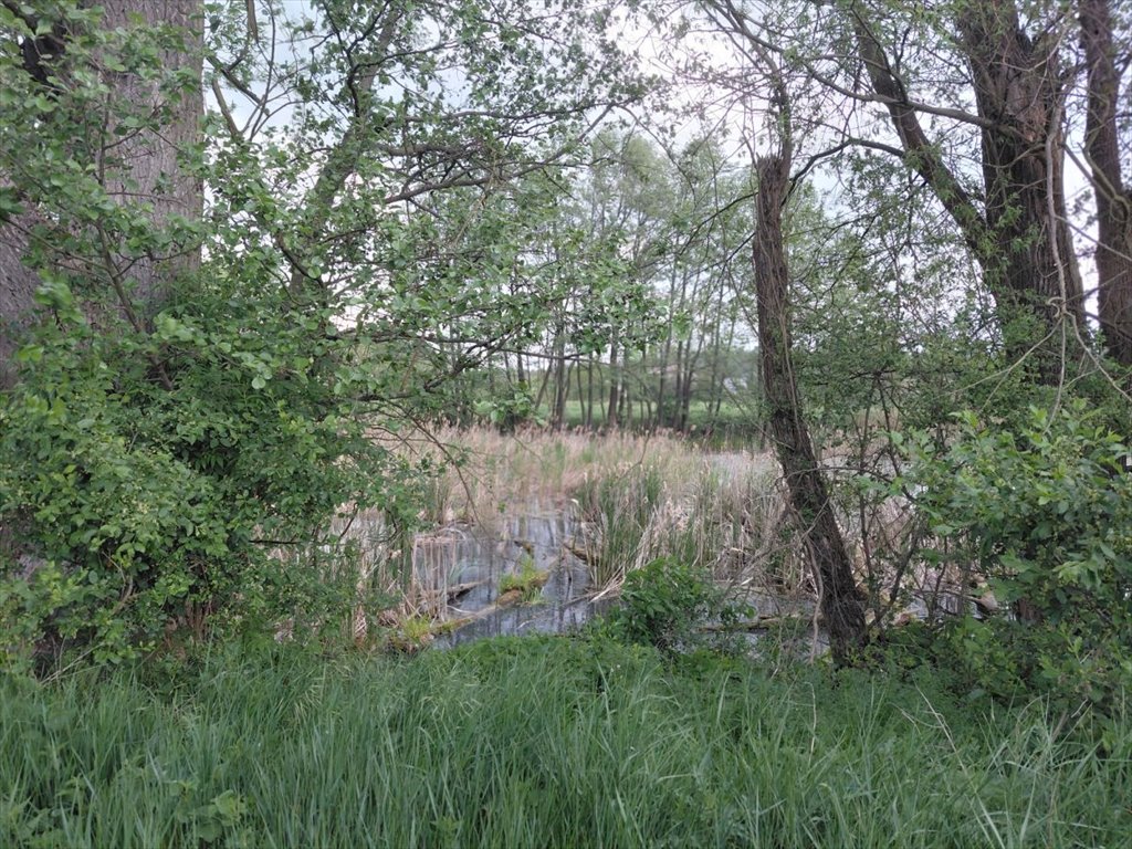 Działka 1135 m² pod dom w Świętochowie - polecam! Świętochów, Mikołaja Kopernika  1 135m2 Foto 1