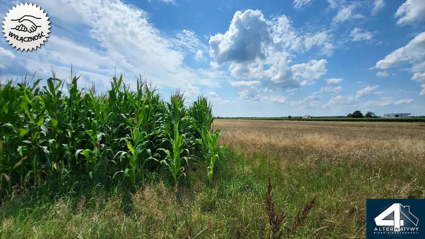 Działka budowlana na sprzedaż Bojszowy, Borowa 30  1 001m2 Foto 4