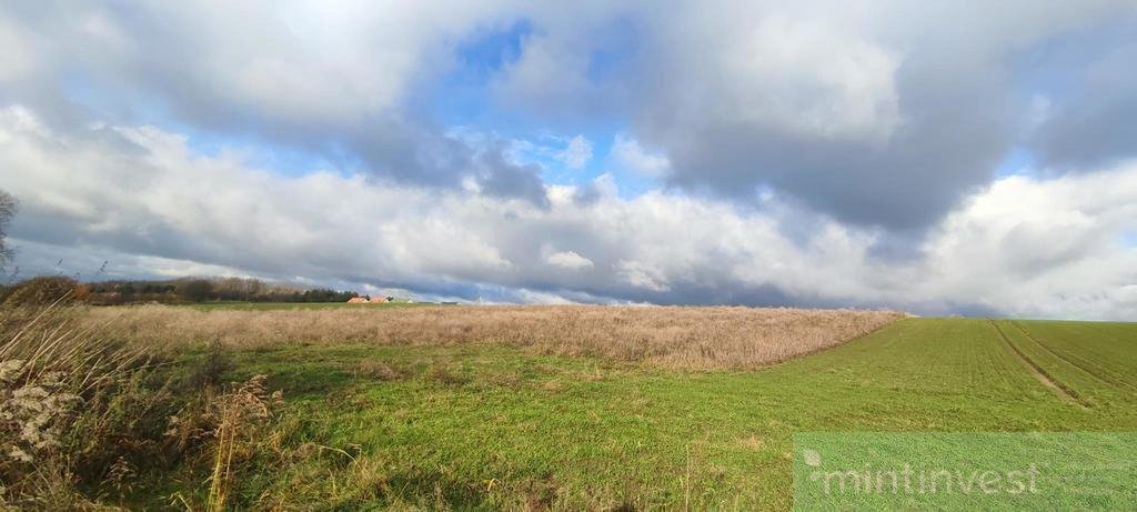 Działka budowlana na sprzedaż Goleniów  1 400m2 Foto 3