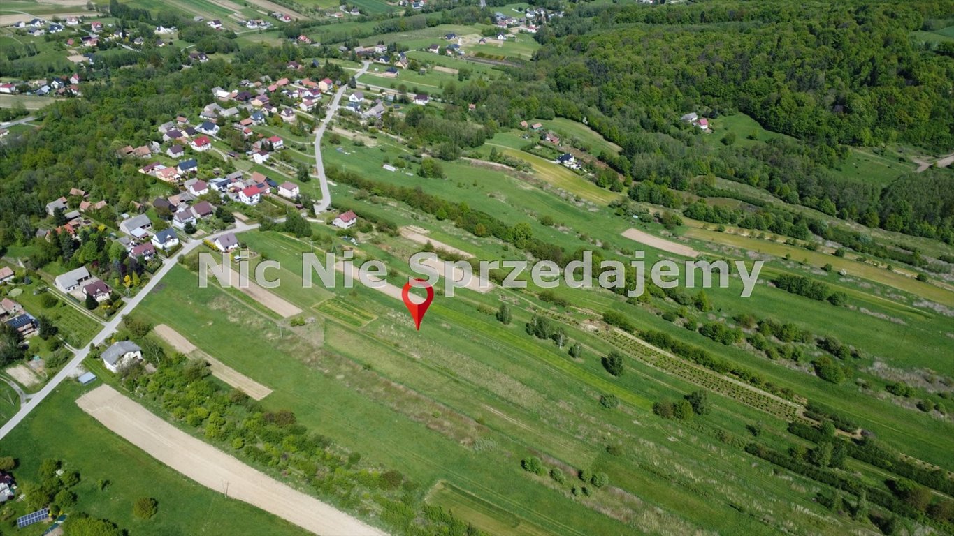 Działka rolna na sprzedaż Dębno, Łysa Góra  7 000m2 Foto 1