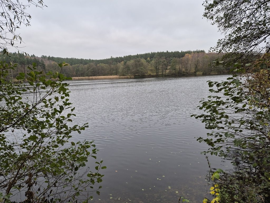 Działka budowlana na sprzedaż Chłopowo  20 400m2 Foto 1