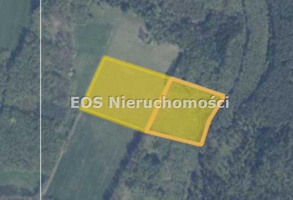 Działka rolna na sprzedaż Lestkowo  238 500m2 Foto 3