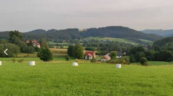 Działka z widokiem na góry i potok - polecam Nowa Ruda  2 000m2 Foto 1
