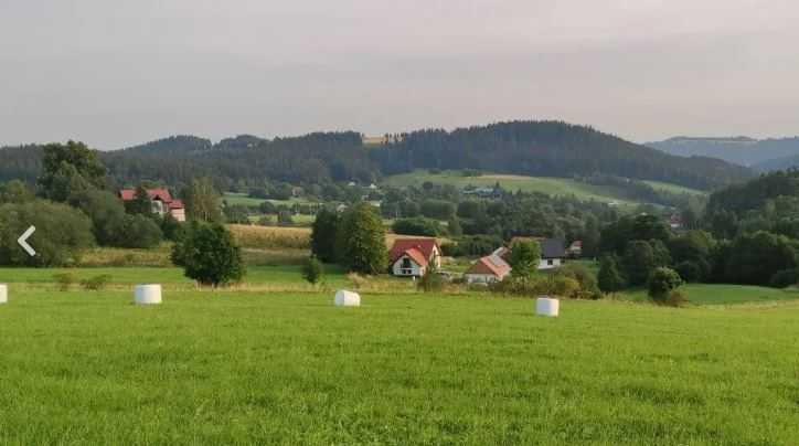 Działka inna na sprzedaż Nowa Ruda  2 000m2 Foto 1