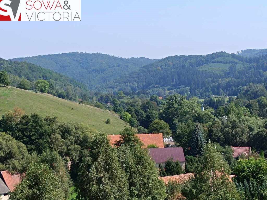 Działka budowlana na sprzedaż Zagórze Śląskie  2 700m2 Foto 7