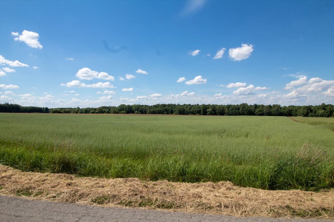 Działka budowlana na sprzedaż Woźniki, Czarny Las, Czarny Las  29 522m2 Foto 9