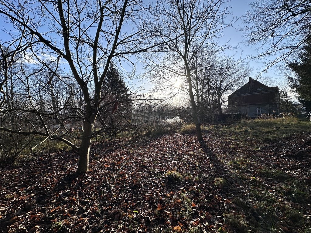 Mieszkanie dwupokojowe na sprzedaż Gryfów Śląski, Partyzantów  64m2 Foto 10