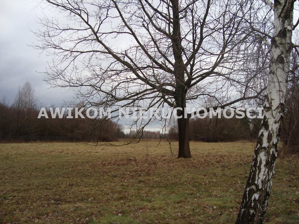 Działka budowlana na sprzedaż Żabia Wola, Kaleń  1 200m2 Foto 2