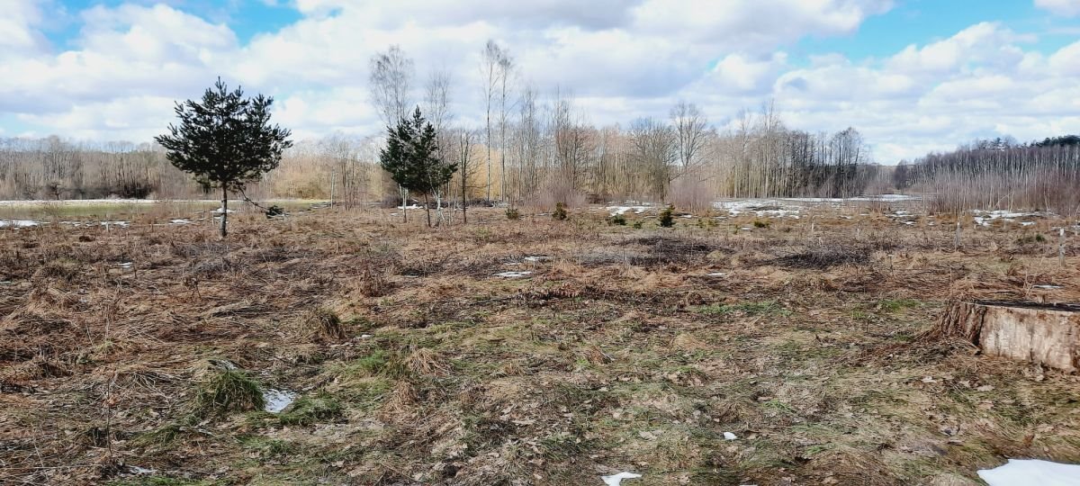 Działka budowlana na sprzedaż Kamionka  2 036m2 Foto 1